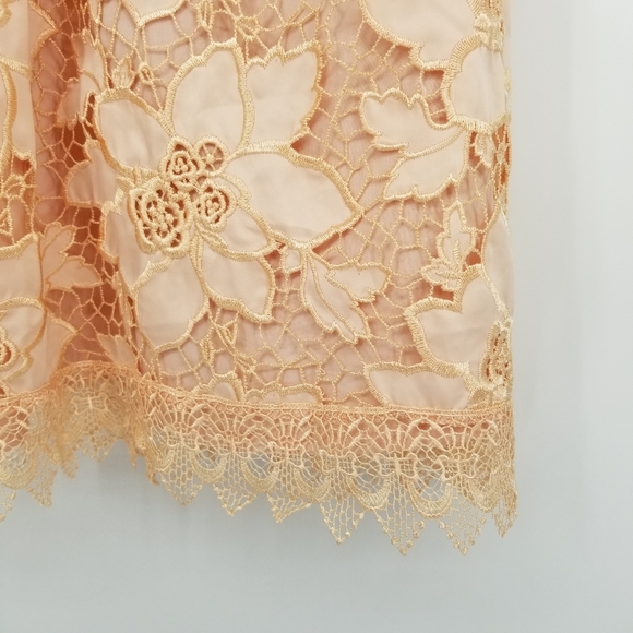 Lovers + Friends | NWT Caspian Lace Sleeveless Shift Mini Dress - Picture 7 of 11